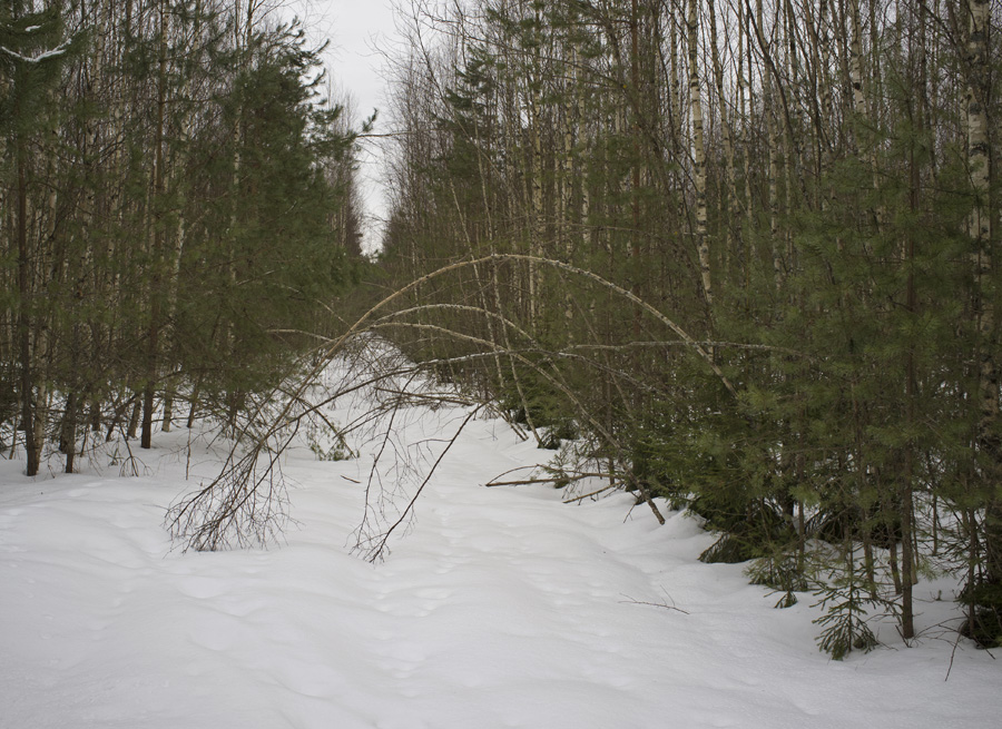      ,  ' '   